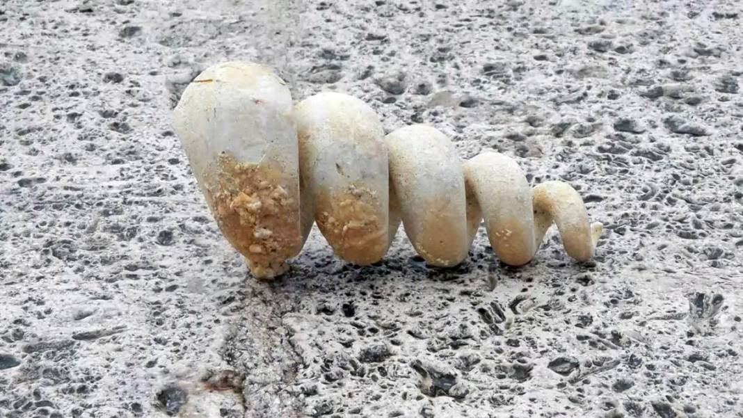 İstanbul'un o ilçesinin zemininin zayıf olduğunun en somut göstergesi! Prof. Dr. Şener Üşümezsoy'dan korkutan uyarı 9